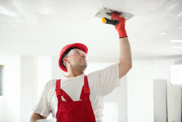 Best Drywall Texturing  in Rossville, TN